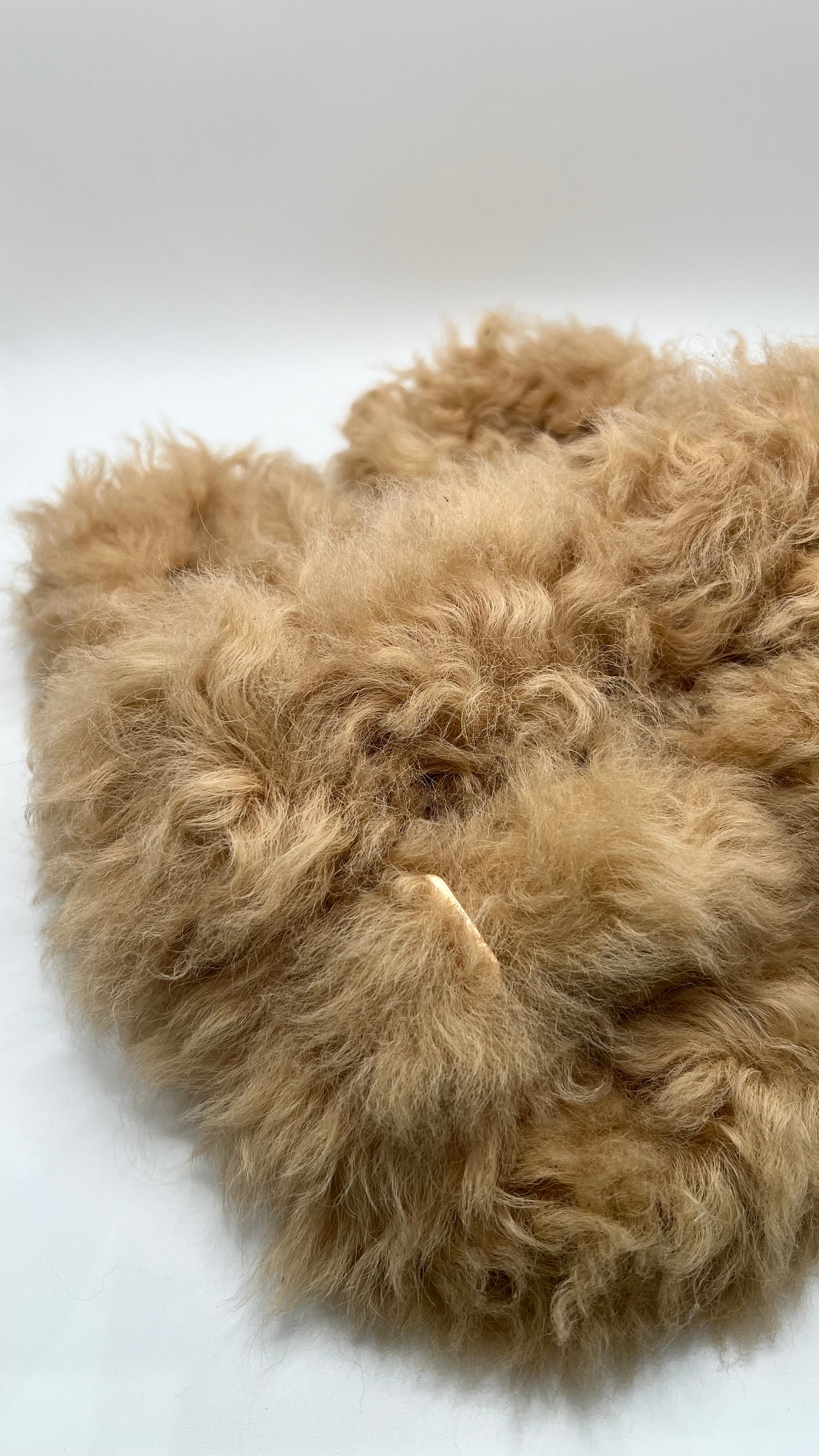 Birky Bottega V*neta