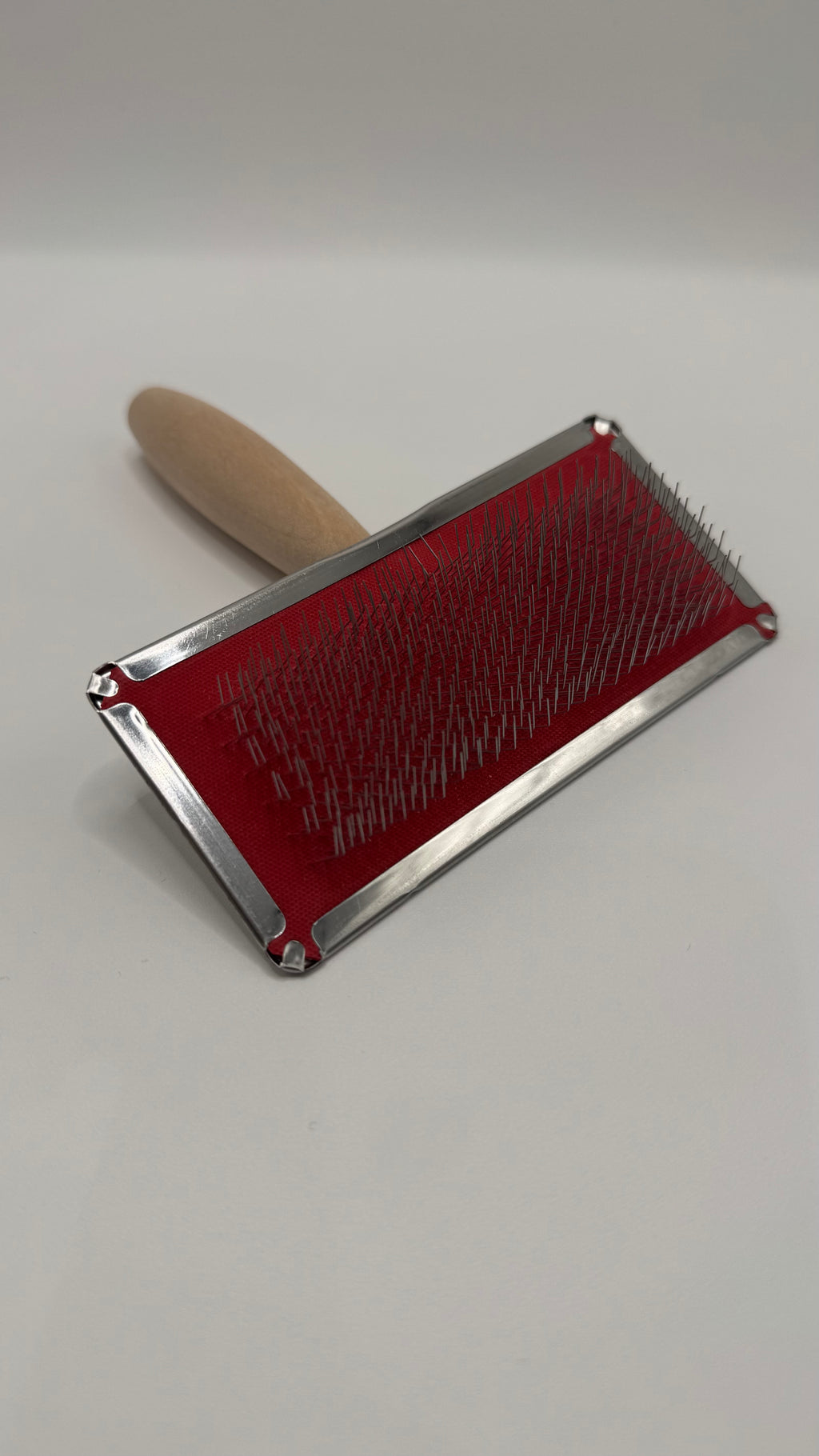 Spazzola Professionale