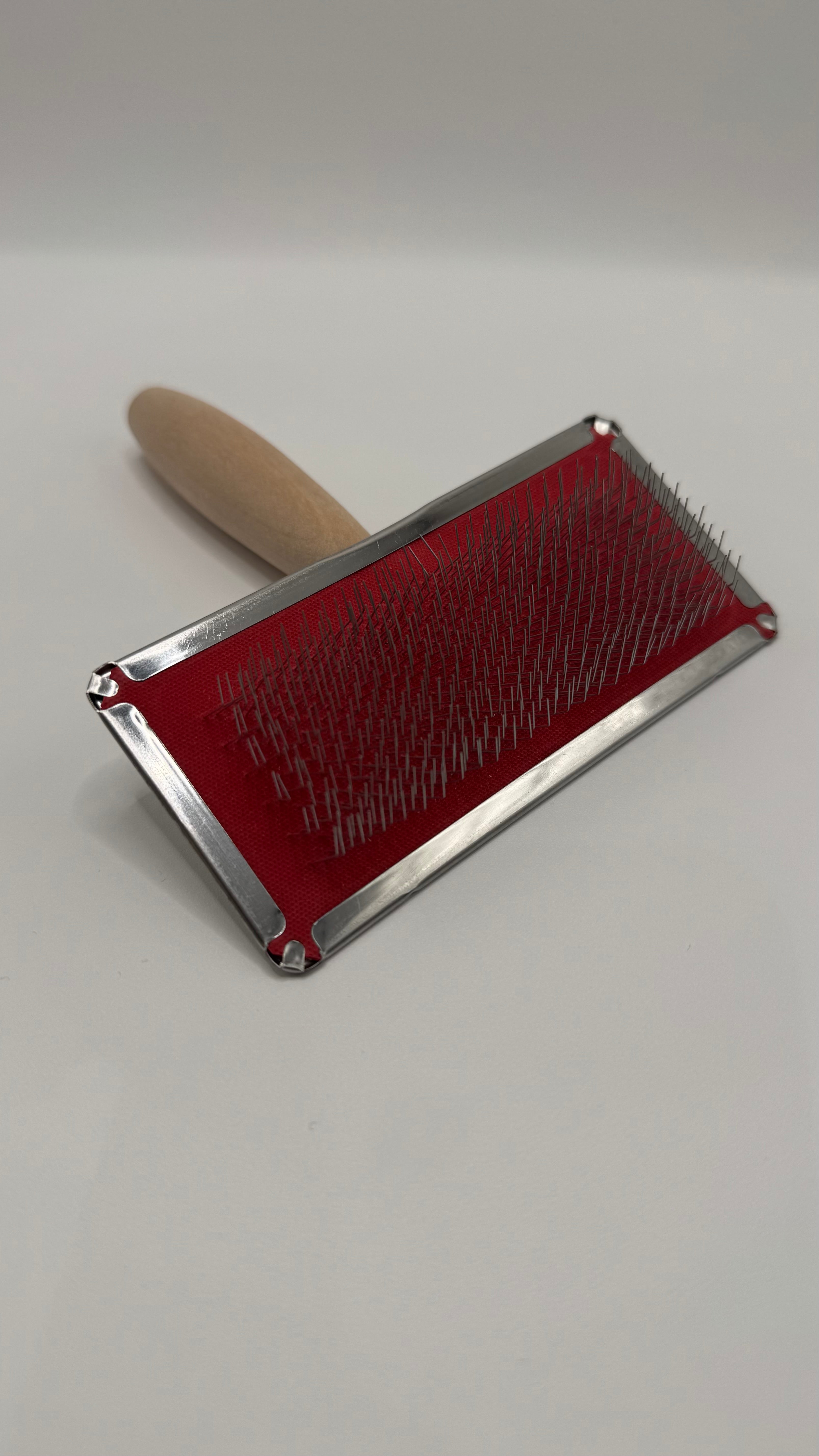 Spazzola Professionale