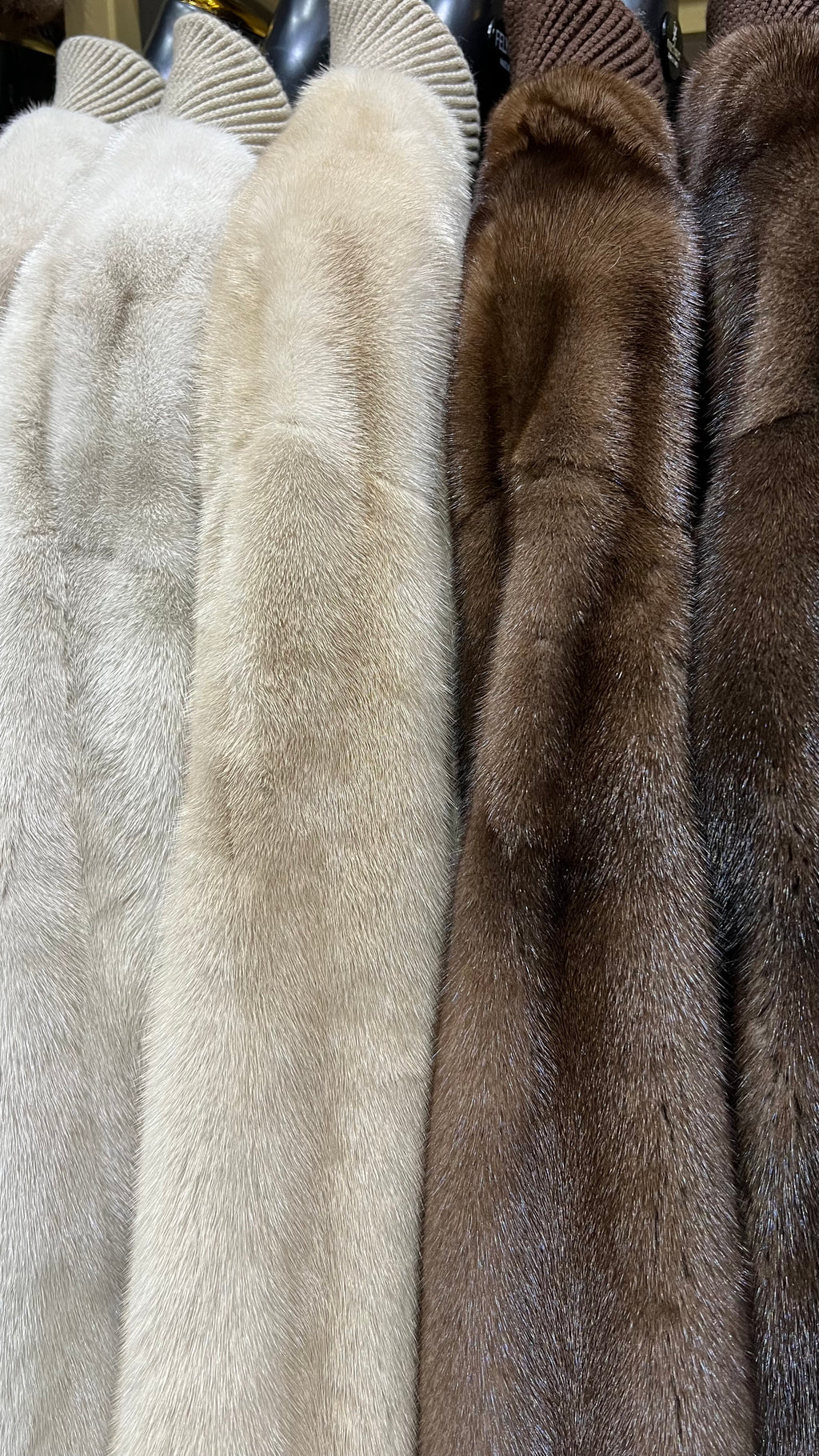 Bomber Visone- Top Quality