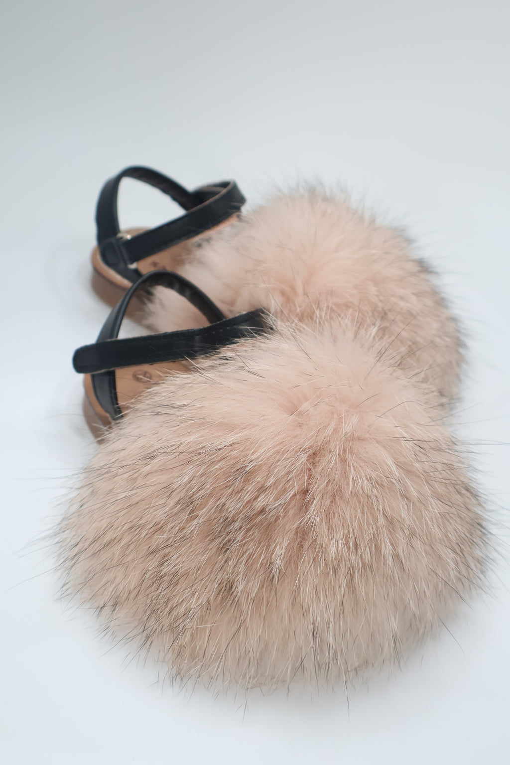 PRE ORDER- Minorchine Fox Bimbi