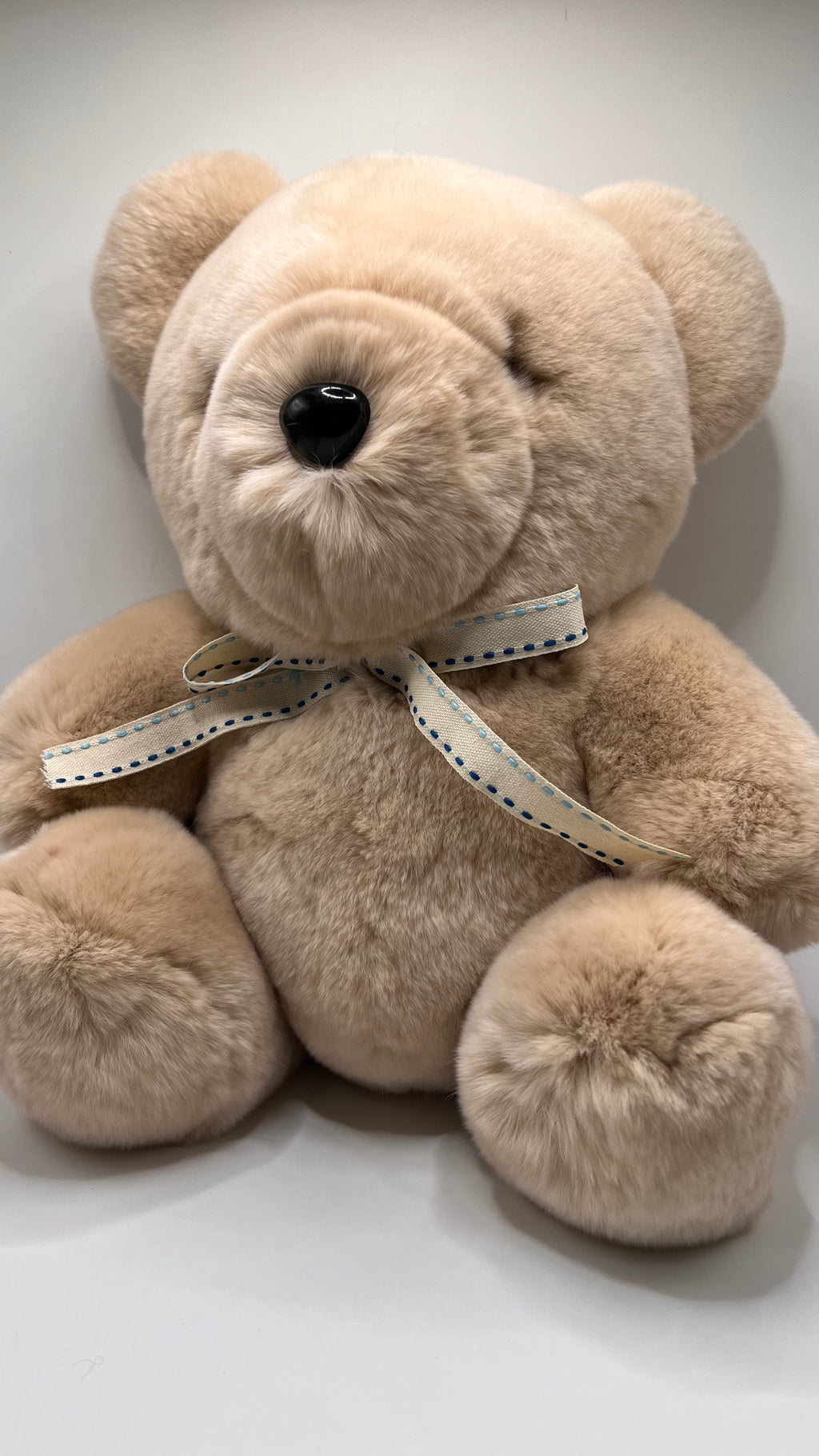 Teddy Bear