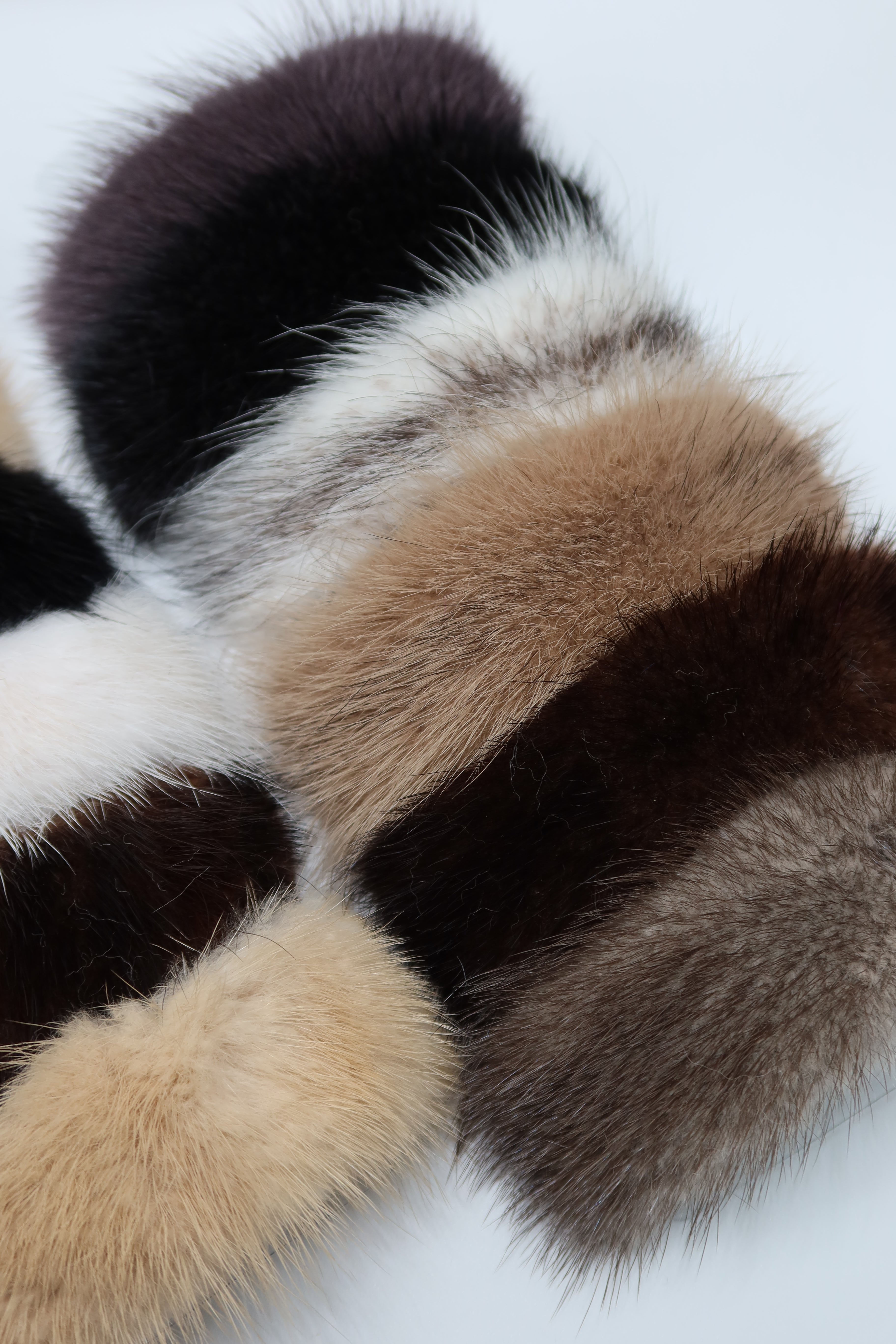 PRE ORDINE- Mollettone Clips