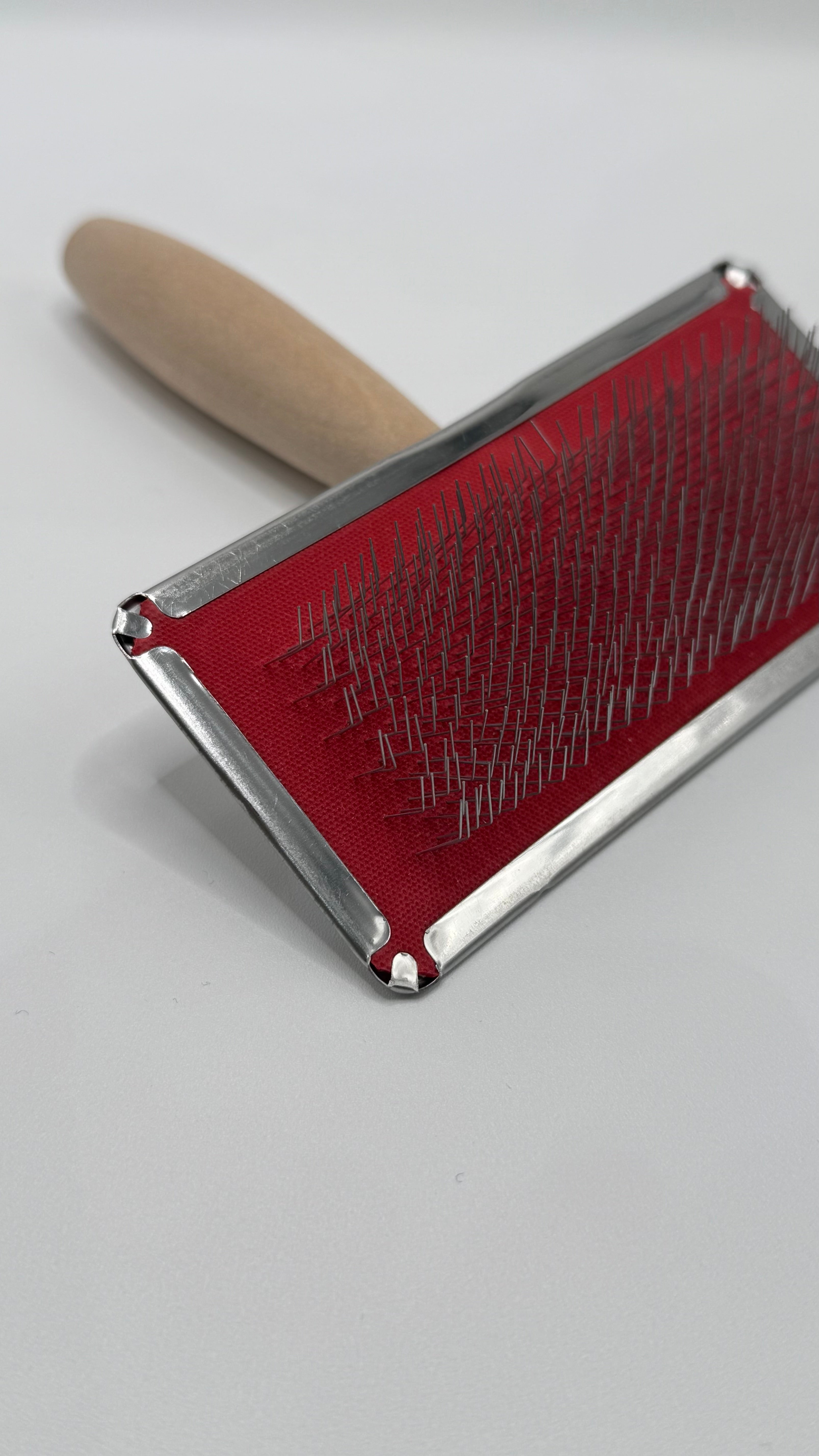 Spazzola Professionale