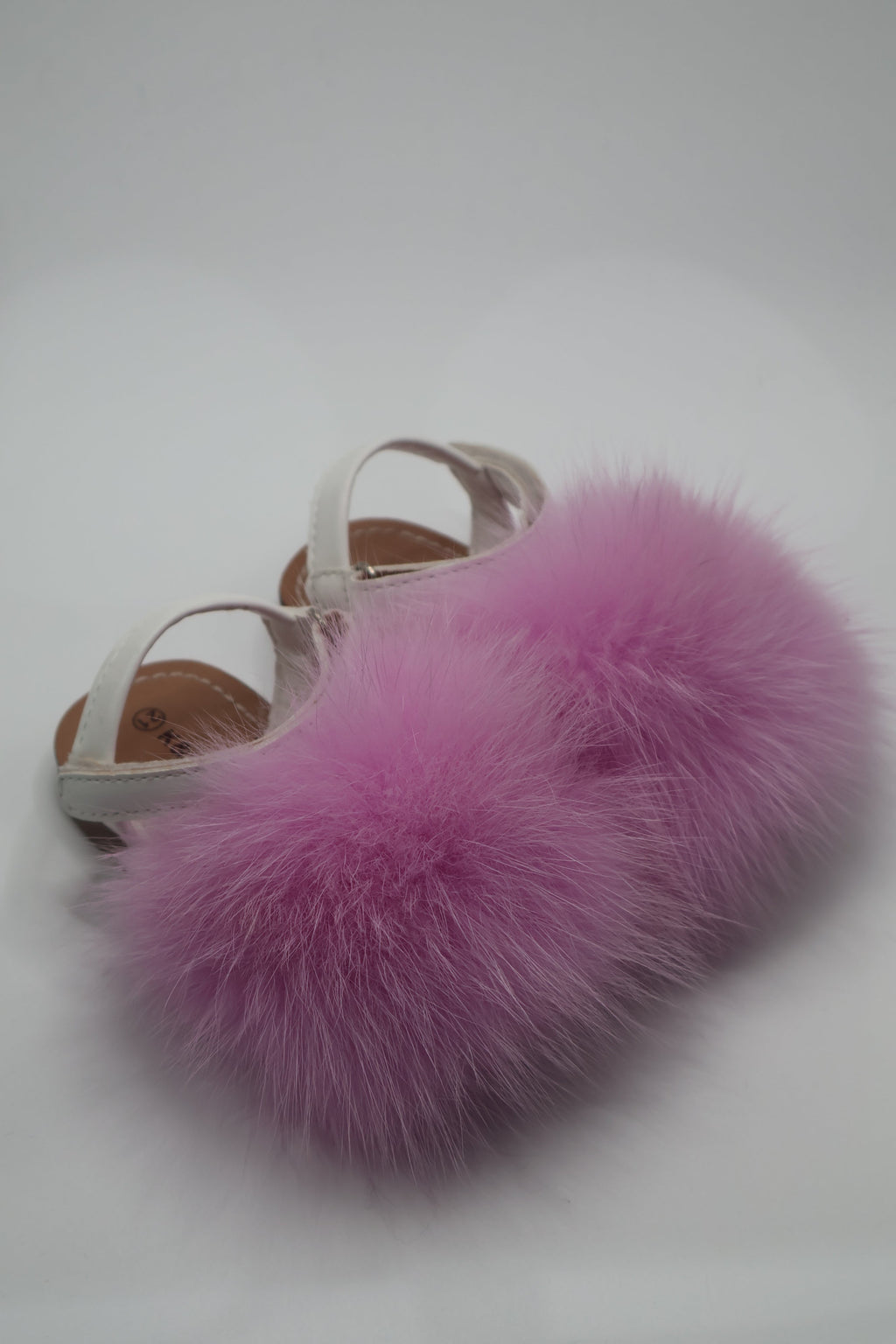 PRE ORDER- Minorchine Fox Bimbi