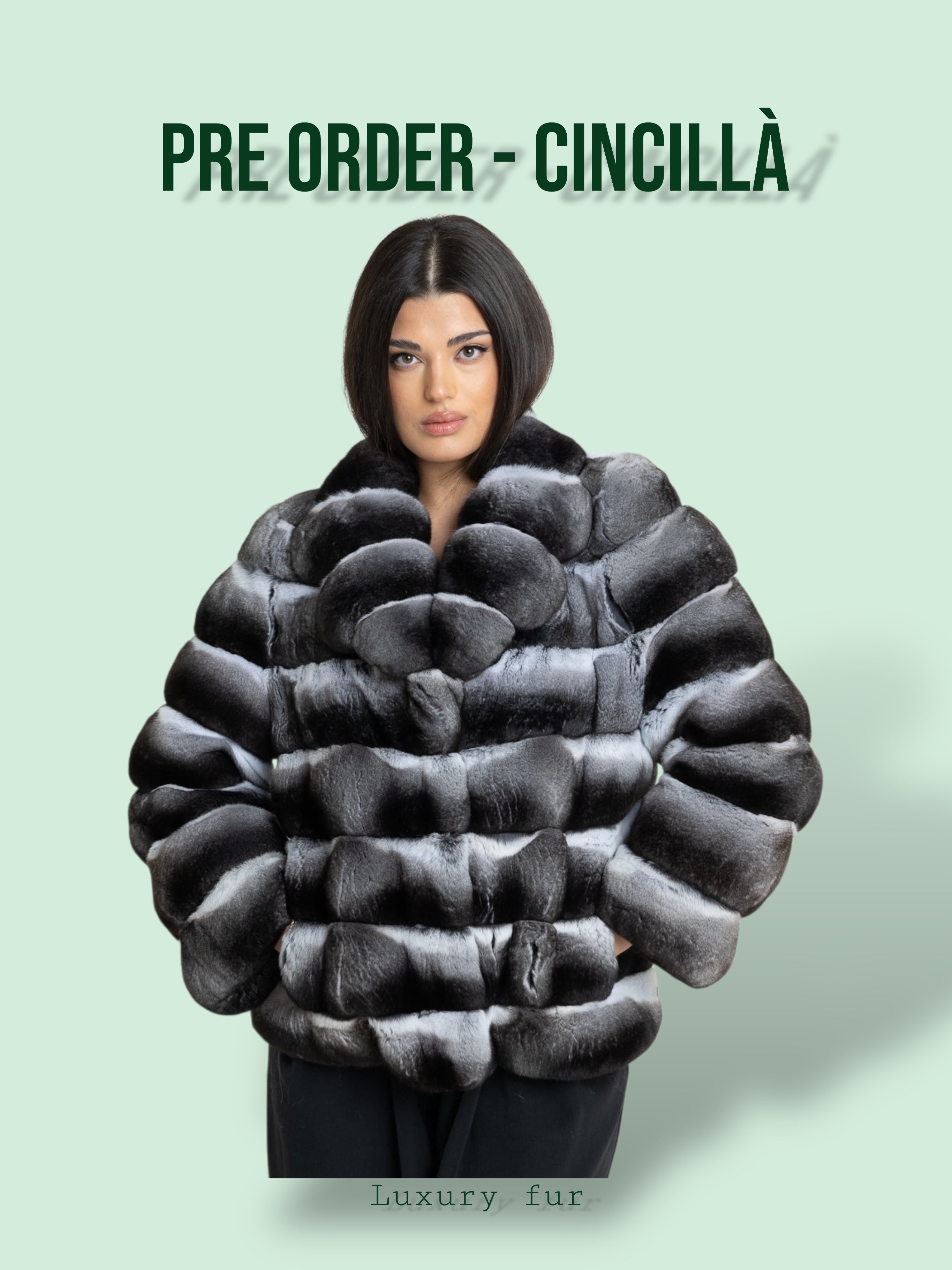 PRE ORDER- Cincillà Cinthia