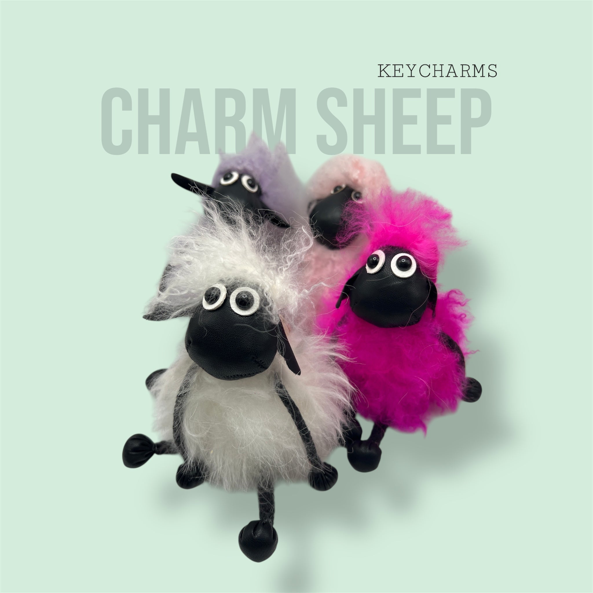 Charm Sheep