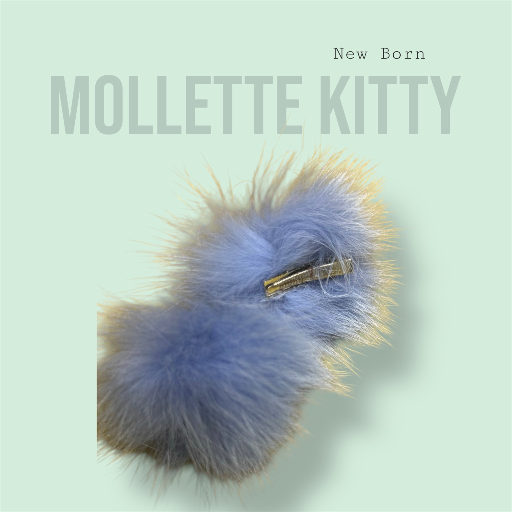Mollette Kitty New Born